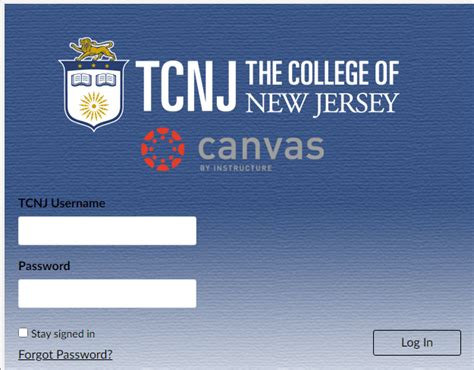Quality assurance testing (with requesters) to check for accessibility, compatibility and reliability. . Tcnj cnvas